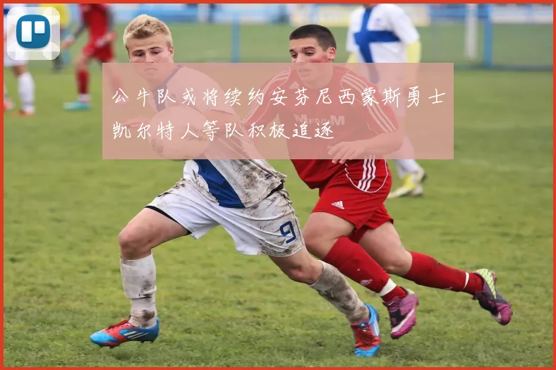 公牛队或将续约安芬尼西蒙斯勇士凯尔特人等队积极追逐