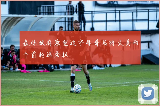 森林狼有意重追字母哥或将交易两个首轮选秀权