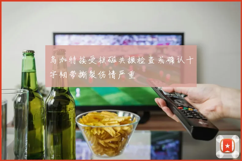 乌加特接受核磁共振检查或确认十字韧带撕裂伤情严重